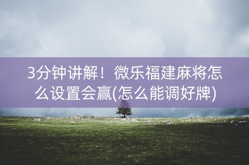3分钟讲解！微乐福建麻将怎么设置会赢(怎么能调好牌)