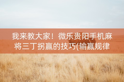 我来教大家！微乐贵阳手机麻将三丁拐赢的技巧(输赢规律技巧)