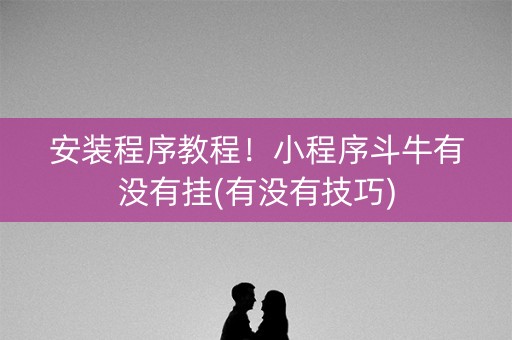 安装程序教程！小程序斗牛有没有挂(有没有技巧)