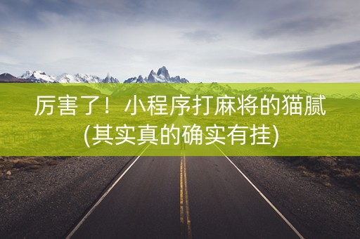 厉害了！小程序打麻将的猫腻(其实真的确实有挂)