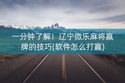一分钟了解！辽宁微乐麻将赢牌的技巧(软件怎么打赢)