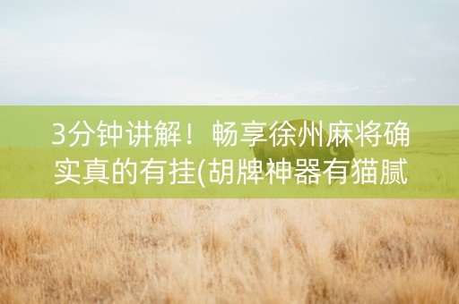 3分钟讲解！畅享徐州麻将确实真的有挂(胡牌神器有猫腻吗)
