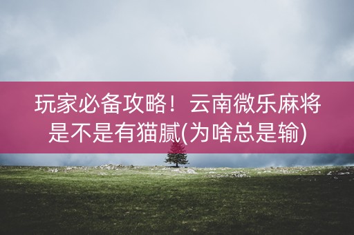 玩家必备攻略！云南微乐麻将是不是有猫腻(为啥总是输)
