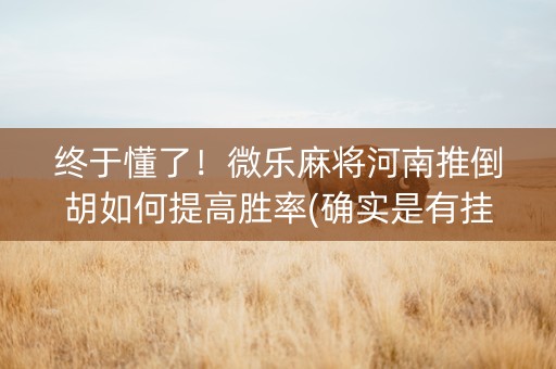 终于懂了！微乐麻将河南推倒胡如何提高胜率(确实是有挂的)