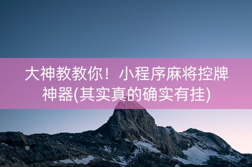 大神教教你！小程序麻将控牌神器(其实真的确实有挂)