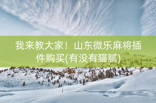 我来教大家！山东微乐麻将插件购买(有没有猫腻)