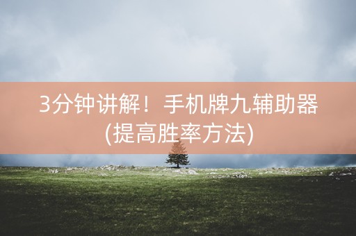 3分钟讲解！手机牌九辅助器(提高胜率方法)