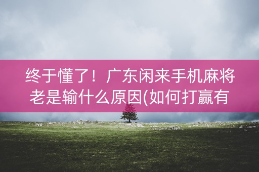 终于懂了！广东闲来手机麻将老是输什么原因(如何打赢有插件吗)