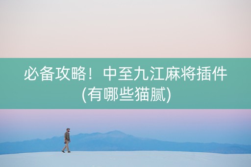 必备攻略！中至九江麻将插件(有哪些猫腻)