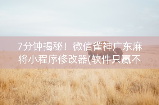 7分钟揭秘！微信雀神广东麻将小程序修改器(软件只赢不输)
