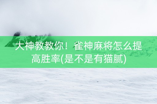 大神教教你！雀神麻将怎么提高胜率(是不是有猫腻)