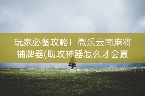 玩家必备攻略！微乐云南麻将铺牌器(助攻神器怎么才会赢)