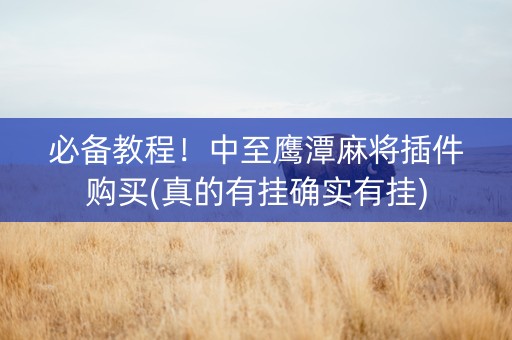 必备教程！中至鹰潭麻将插件购买(真的有挂确实有挂)