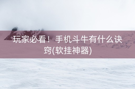 玩家必看！手机斗牛有什么诀窍(软挂神器)