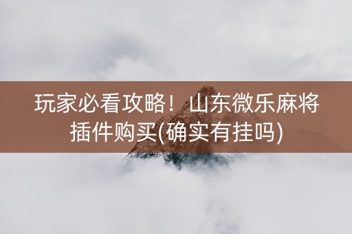 玩家必看攻略！山东微乐麻将插件购买(确实有挂吗)