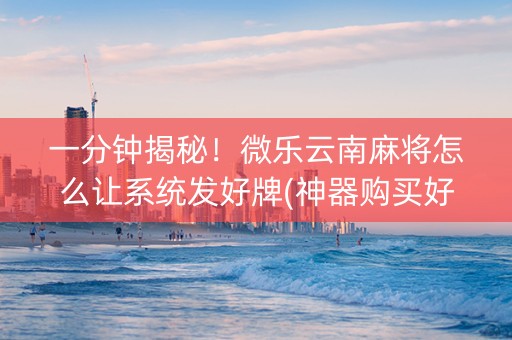 一分钟揭秘！微乐云南麻将怎么让系统发好牌(神器购买好牌规律)