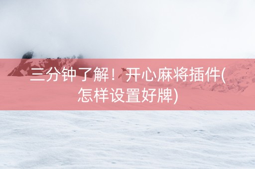 三分钟了解！开心麻将插件(怎样设置好牌)