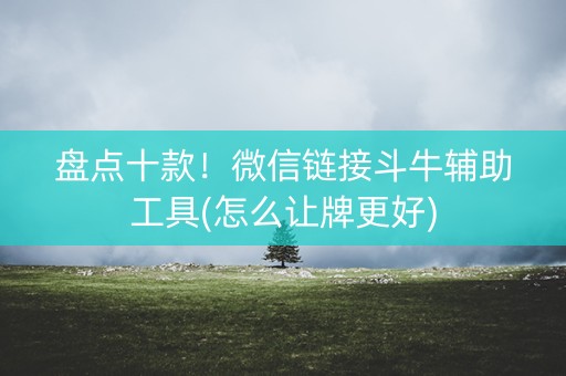 盘点十款！微信链接斗牛辅助工具(怎么让牌更好)