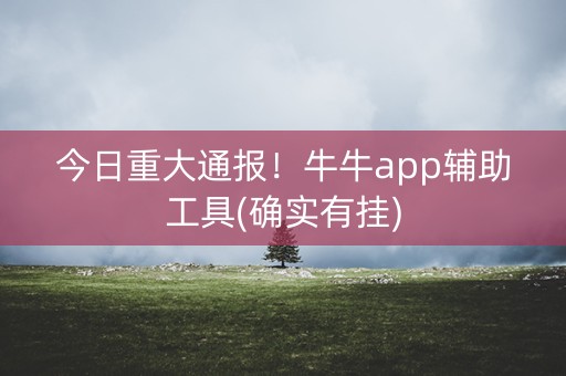 今日重大通报！牛牛app辅助工具(确实有挂)