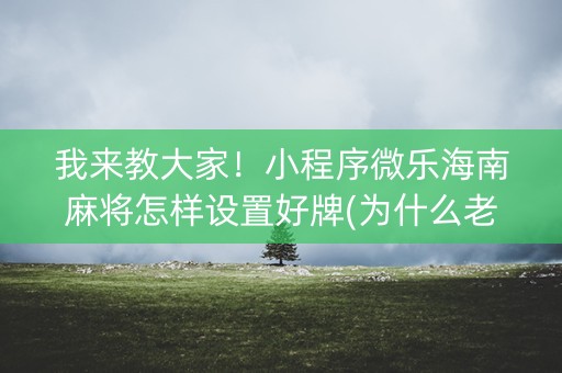 我来教大家！小程序微乐海南麻将怎样设置好牌(为什么老是输)