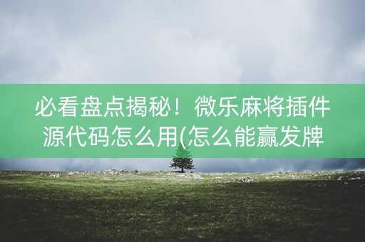 必看盘点揭秘！微乐麻将插件源代码怎么用(怎么能赢发牌规律)