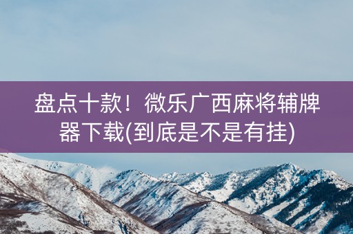 盘点十款！微乐广西麻将辅牌器下载(到底是不是有挂)