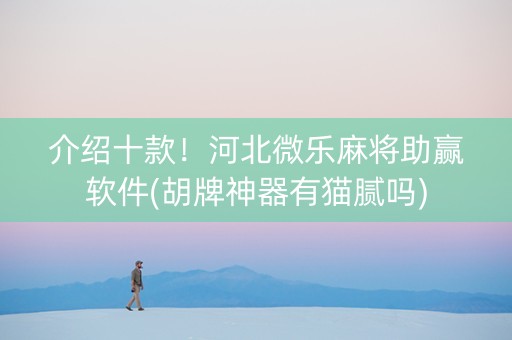 介绍十款！河北微乐麻将助赢软件(胡牌神器有猫腻吗)