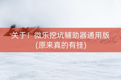 关于！微乐挖坑辅助器通用版(原来真的有挂)