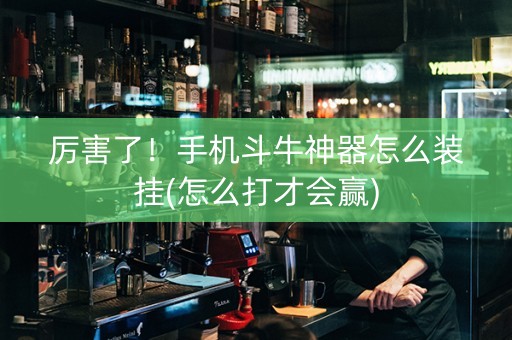 厉害了！手机斗牛神器怎么装挂(怎么打才会赢)