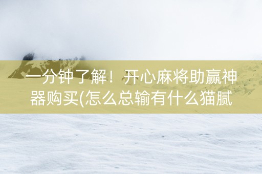 一分钟了解！开心麻将助赢神器购买(怎么总输有什么猫腻)