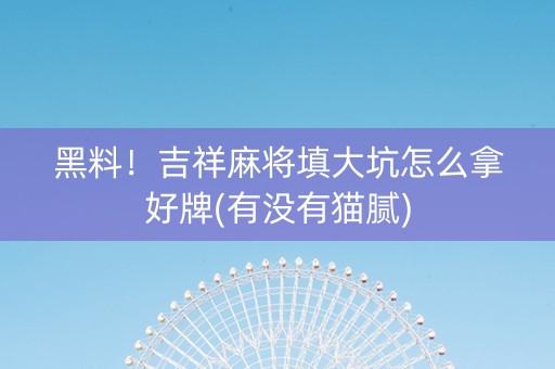 黑料！吉祥麻将填大坑怎么拿好牌(有没有猫腻)