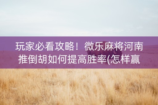 玩家必看攻略！微乐麻将河南推倒胡如何提高胜率(怎样赢的几率大)