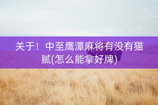 关于！中至鹰潭麻将有没有猫腻(怎么能拿好牌)