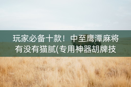 玩家必备十款！中至鹰潭麻将有没有猫腻(专用神器胡牌技巧)