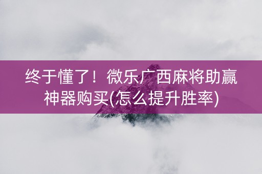 终于懂了！微乐广西麻将助赢神器购买(怎么提升胜率)