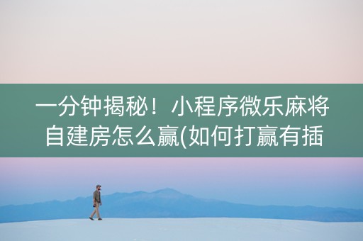 一分钟揭秘！小程序微乐麻将自建房怎么赢(如何打赢有插件吗)