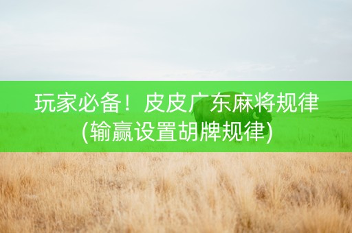 玩家必备！皮皮广东麻将规律(输赢设置胡牌规律)