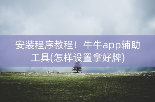 安装程序教程！牛牛app辅助工具(怎样设置拿好牌)