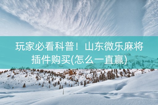 玩家必看科普！山东微乐麻将插件购买(怎么一直赢)
