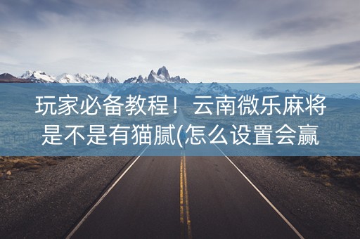 玩家必备教程！云南微乐麻将是不是有猫腻(怎么设置会赢)