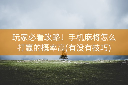 玩家必看攻略！手机麻将怎么打赢的概率高(有没有技巧)