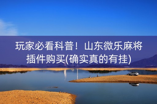 玩家必看科普！山东微乐麻将插件购买(确实真的有挂)