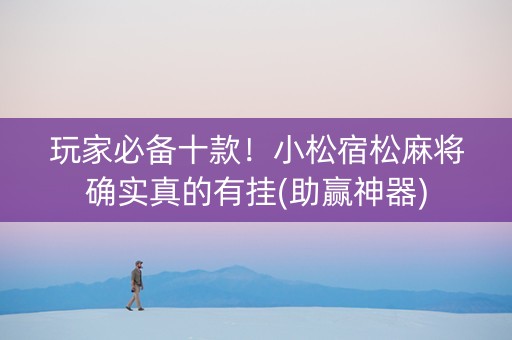 玩家必备十款！小松宿松麻将确实真的有挂(助赢神器)