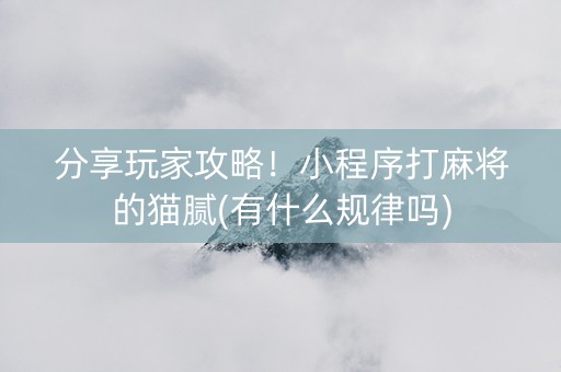 分享玩家攻略！小程序打麻将的猫腻(有什么规律吗)