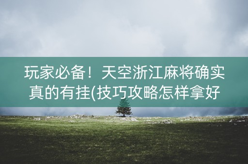 玩家必备！天空浙江麻将确实真的有挂(技巧攻略怎样拿好牌)