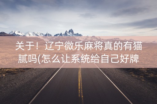 关于！辽宁微乐麻将真的有猫腻吗(怎么让系统给自己好牌)