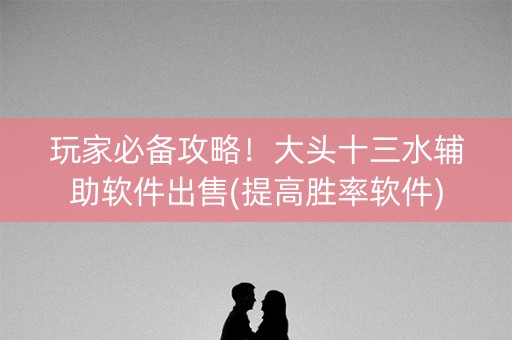 玩家必备攻略！大头十三水辅助软件出售(提高胜率软件)