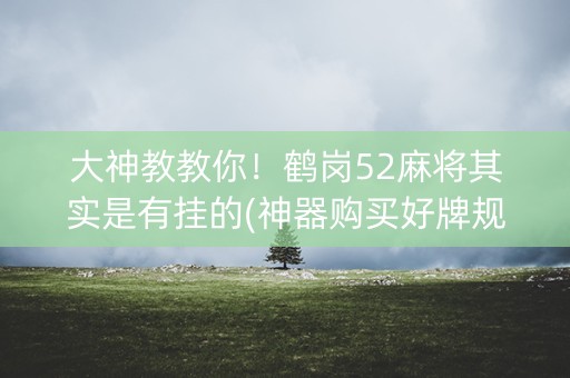 大神教教你！鹤岗52麻将其实是有挂的(神器购买好牌规律)