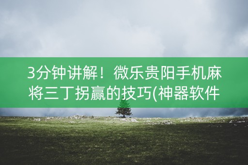 3分钟讲解！微乐贵阳手机麻将三丁拐赢的技巧(神器软件)