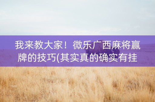 我来教大家！微乐广西麻将赢牌的技巧(其实真的确实有挂)